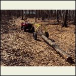 Log Arch