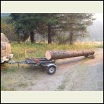Moving logs with a trailer and a dolly