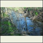 sump_pump_005.JPG sump_pump_005.JPG