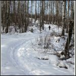 snowshoeing up our lane