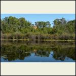 cabin from pond