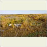 yard and fall colours