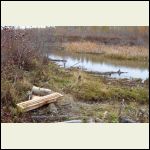 beaver bench beaver bench