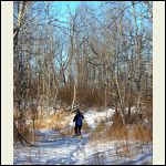 snowshoeing