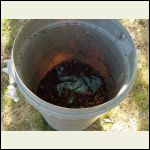 bin ready for the composter bin ready for the composter