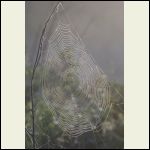 web