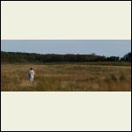 out standing in his field out standing in his field