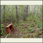 bench on north trail