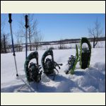 Scenic snowshoes