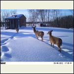 Visitors at the shack