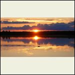 Beaver in the sunset Beaver in the sunset