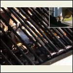 grill cleaner