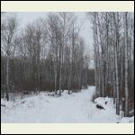 driveway driveway