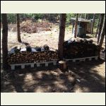 Forgot to add we split and stacked some firewood