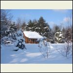 cabin in snow