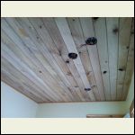 200 year white oak 200 year white oak