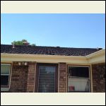 asphalt shingles with edges curled up 2-3" on the corners