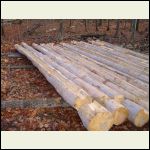 Logs on skide (cut ready to go building).  They were treated before sitting under the snow.