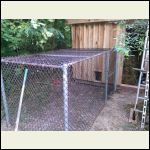 chicken_run_7.jpg chicken_run_7.jpg