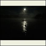Moonlight Swim