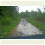 roadflood.jpg