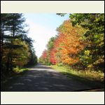 Fall_colors3.jpg