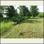 Brush_cutter_002.jpg