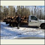 saw logs