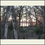 view of lake from porch