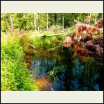 Small pond on upper elevation in Sidney cabin parcel