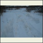 Winter driveway Winter driveway
