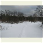 Snow on driveway