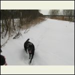walking in  the snow