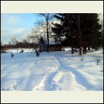 Cabin in snow