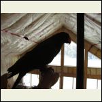 with my parrot with my parrot