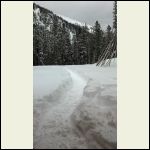 Trail in to the cabin (taken from the back door.) Snowshoes a must!