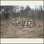 A Year's Supply of Firewood