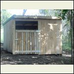 The New Shed