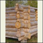 Logs in the building yard