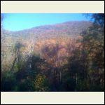 fall_2013.jpg fall_2013.jpg