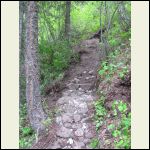 Trail to the Outhouse