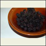 blackberries