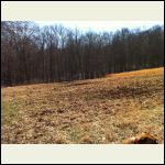 Food plot