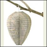 Bee-Free Natural Wasp Deterrent Bee-Free Natural Wasp Deterrent