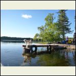 The dogs are waiting on the new dock for the ride home.