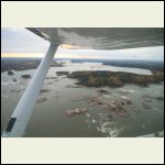 The big river separates me from the cabin (and about 20 km of bog).