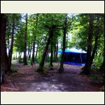 My screened tent
