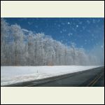 Frozen fog Frozen fog