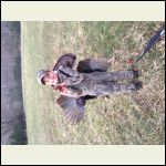 Coles first turkey Coles first turkey