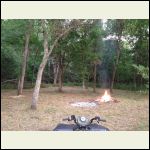 Little more clearing of the timbered food plot.